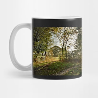 Preston Park, Stockton on Tees Mug